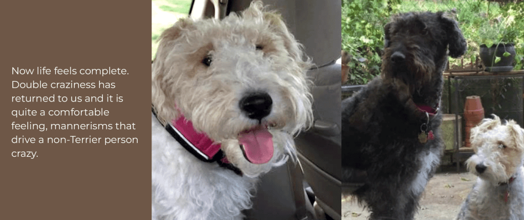 Call me Anything, but don’t Call me Late for Dinner!