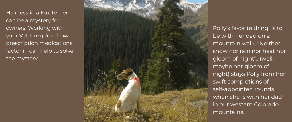 The Case of the Missing&nbsp;Coat