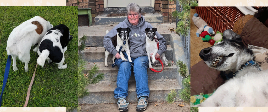 Janet B. Bass, Wire Fox Terrier Parent and Rescue&nbsp;Driver