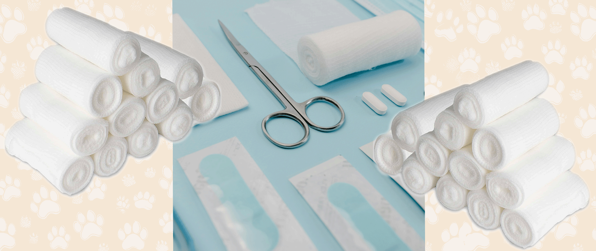 Part II: Canine Care Kits – What You Really Need